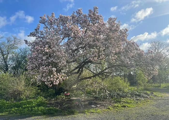 Frejas Διαμέρισμα